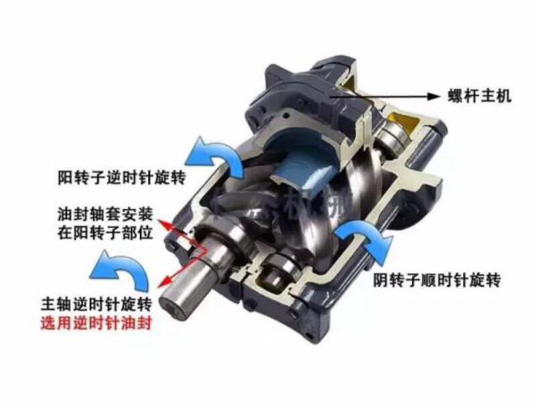 鮑斯永磁變頻空壓機軸承